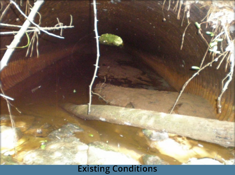 mercedes_existing_condition_2-3